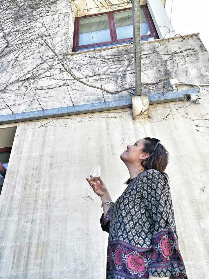 santi dimitri apulia cellar's tour and tasting