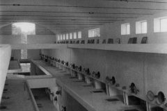 Cantina-Cupertinum-3