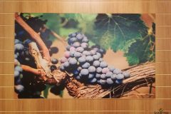 Tenute-Rubino-Italian-Wines-26