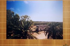 Tenute-Rubino-Italian-Wines-27