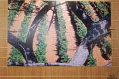 Tenute-Rubino-Italian-Wines-28