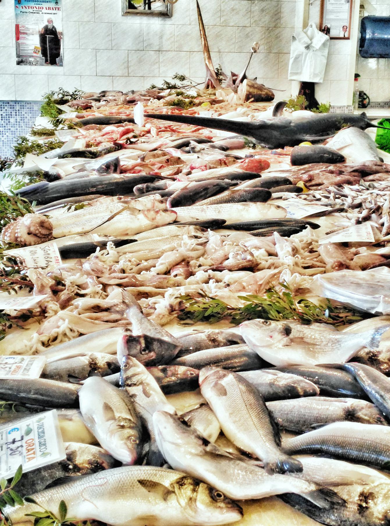 IMG_20170201_114511-01