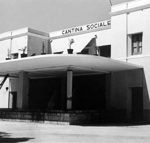 cantina sociale puglia