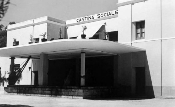 cantina sociale puglia