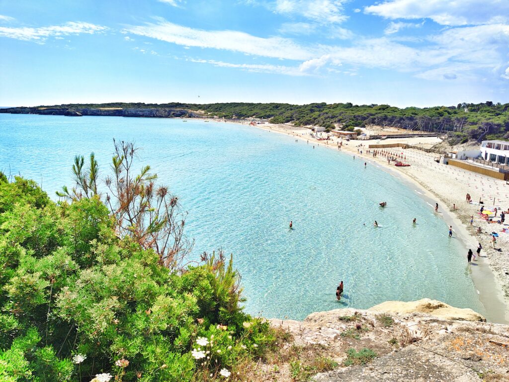 High-angle panoramic view overlooking the crescent-shaped Torre dell'Orso beach (Spiaggia di Torre dell'Orso) near Melendugno, Salento, Puglia, Italy, featuring vibrant Caribbean-like turquoise and aqua water, fine white sand, a backdrop of a dense pine forest (pineta), and swimmers and beach umbrellas under a bright, partly cloudy blue sky.