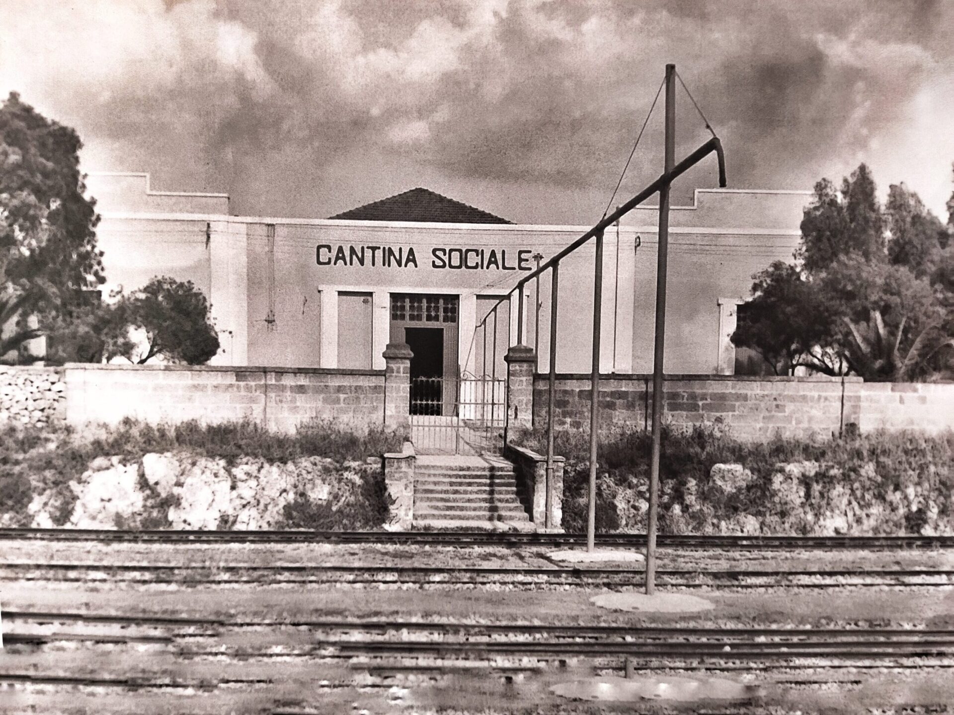 Cupertinum winery historical photo from the 1950s - the early years of the cooperative