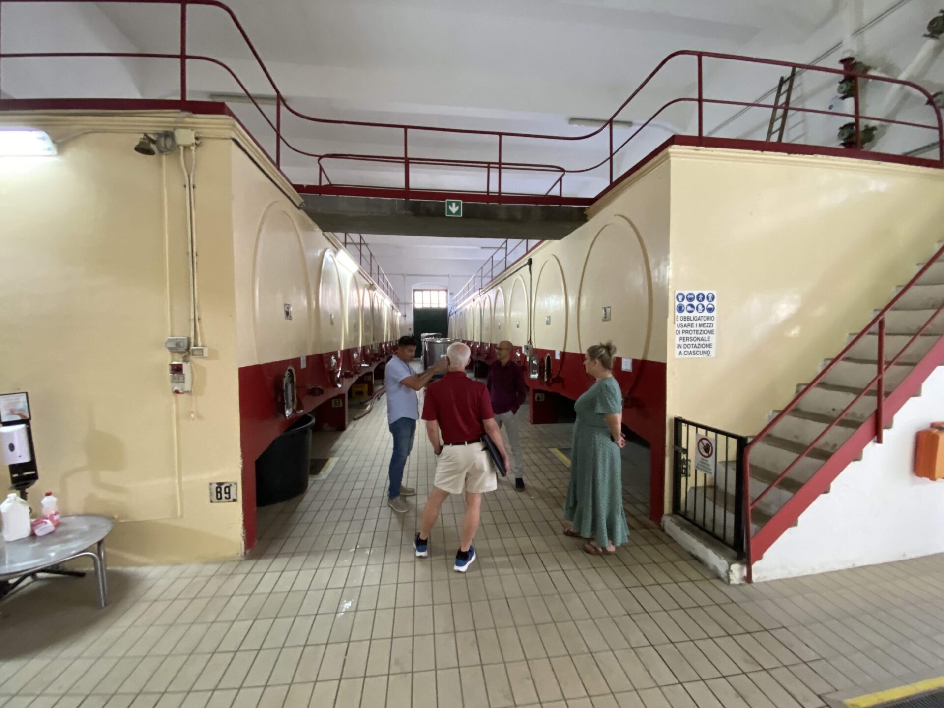 Guided wine tour at Cupertinum winery in Copertino, Salento - wine tasting experience