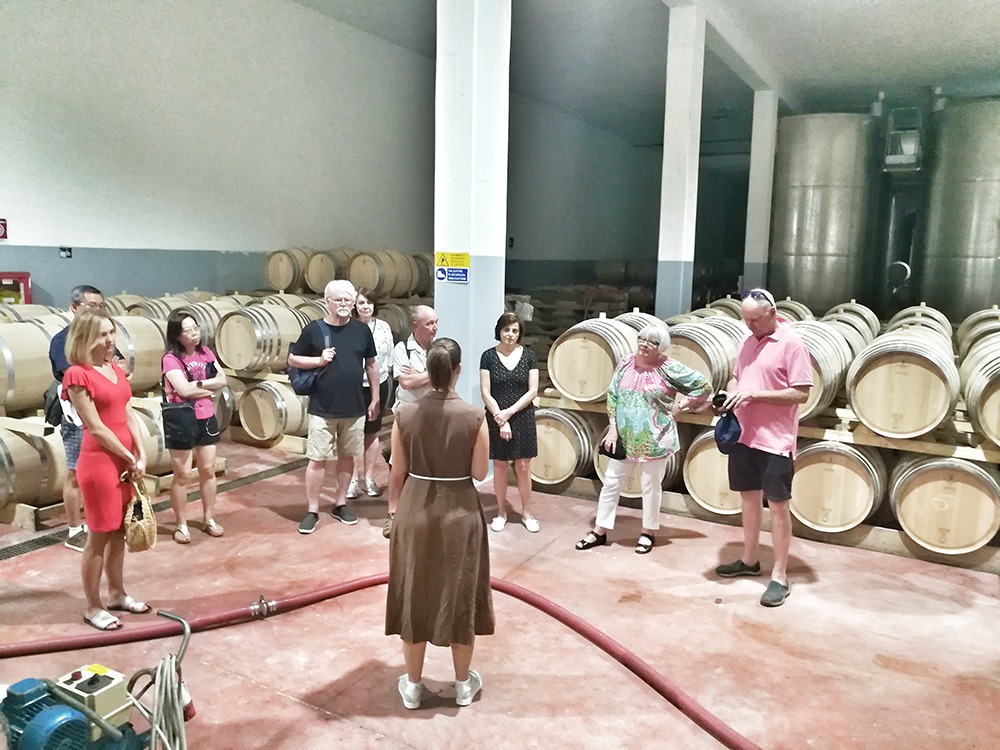 Private wine tour in Salento: exploring historic barrel rooms at a family-owned Puglian winery with Dr. Stefano Spagnolo