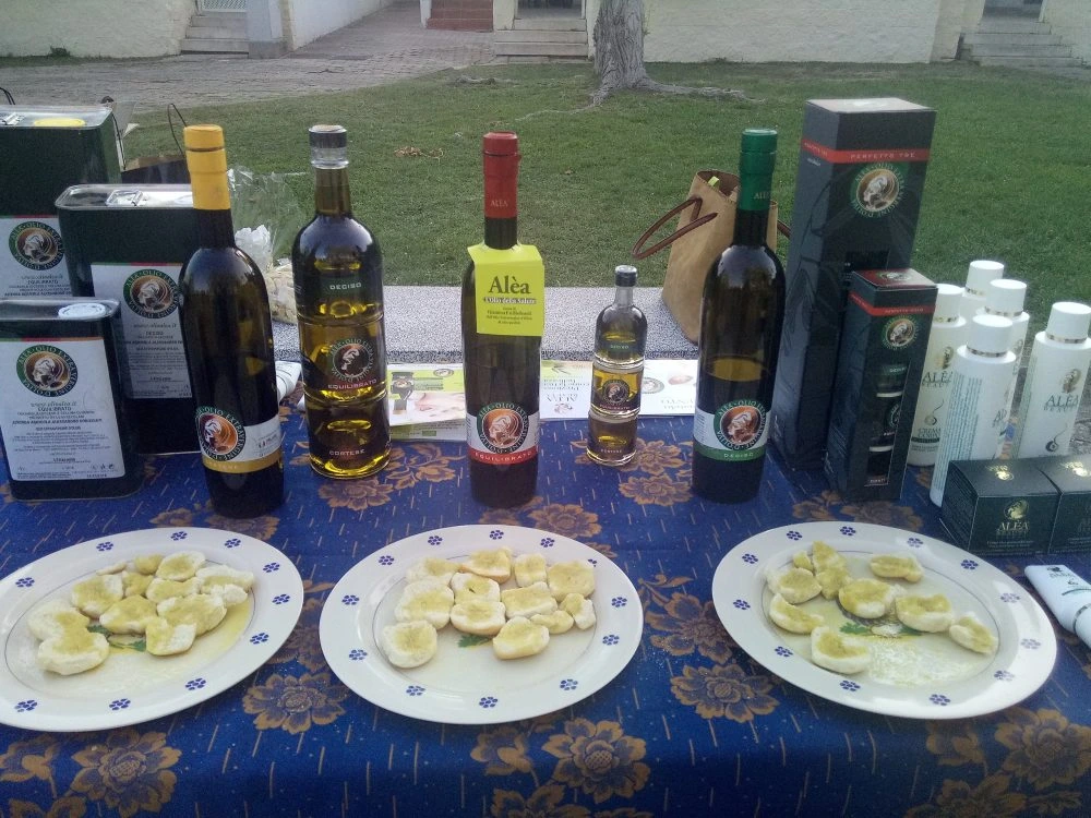 Aleà Olive Oil Martano Aleà extra virgin olive oil tasting experience in Martano, Salento