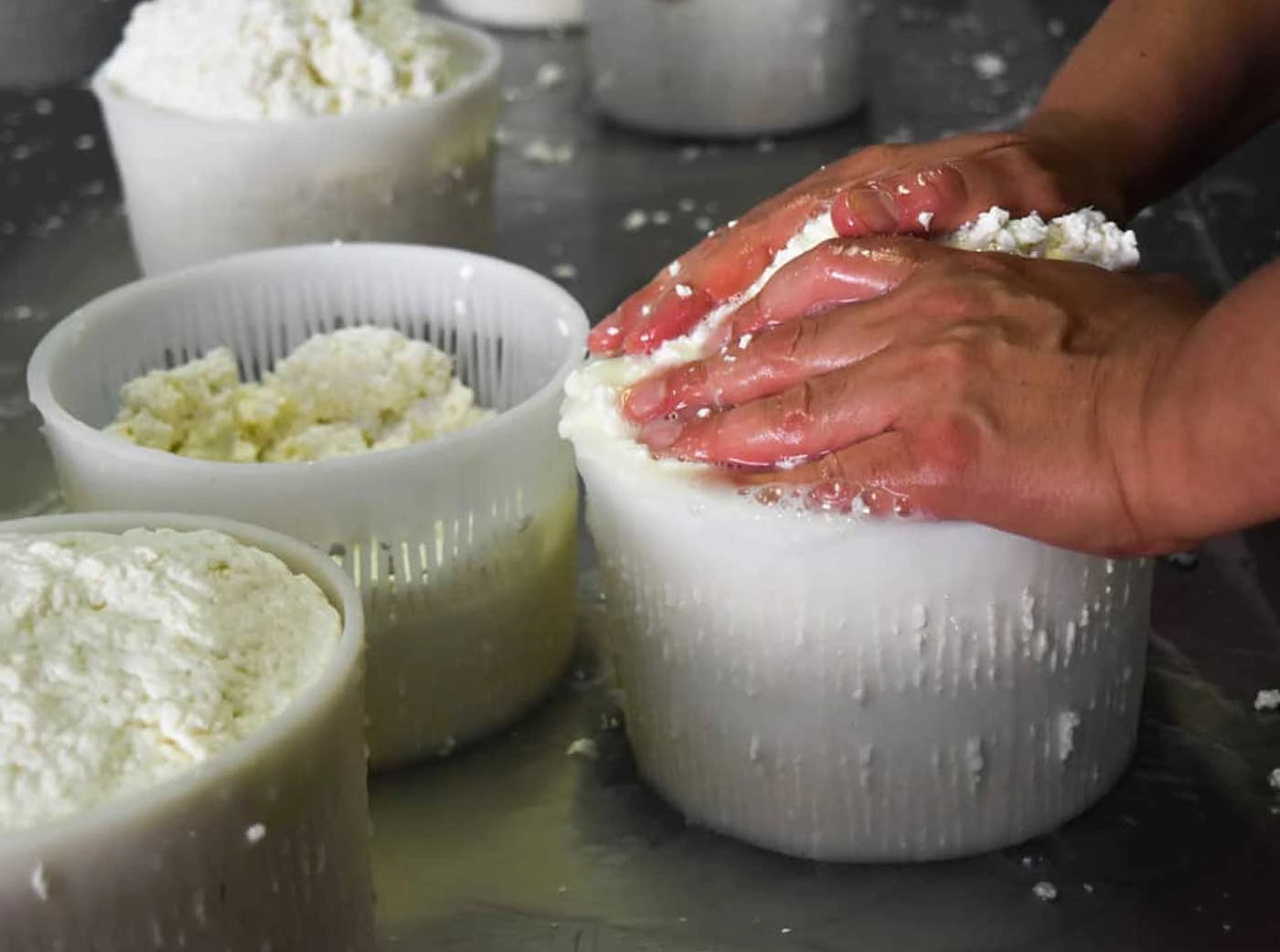 Masseria Latronica Cheese Fresh ricotta cheese making at Masseria Latronica in Galatina, Salento